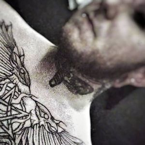 Meet your Posher, Dave